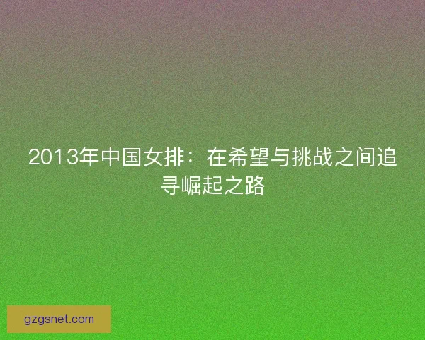 2013年中国女排：在希望与挑战之间追寻崛起之路