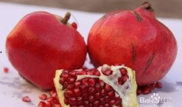 娱乐吃瓜酱买石榴视频