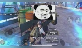 明明在线观看,揭秘网络直播的魅力与挑战