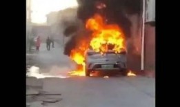 爆料海豚自燃视频大全,海豚自燃视频大全引发热议