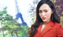 王芳怀孕爆料事件视频,真相与猜测交织