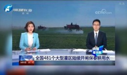 河南报道爆料新闻,揭秘某重大事件背后真相