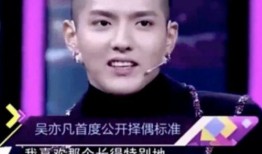 刘美丽最新爆料视频大全,揭秘娱乐圈不为人知的一面