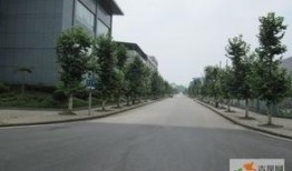 渝北泽科港城最新爆料