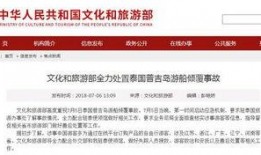 泰国游客爆料事件最新进展,最新进展揭示惊人内幕