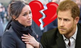 梅根 爆料查尔斯视频,惊人内幕曝光