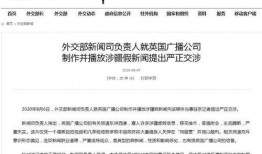 外交新闻爆料平台官网网址,官网网址背后的故事与真相”