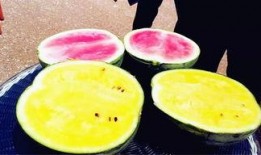 爆大瓜的网红吃的什么,揭秘她所品尝的神秘美食