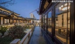 桃李春风最新爆料,揭秘娱乐圈背后的惊人真相