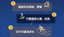 奉贤头条爆料新闻最新消息,最新爆料！重大事件引发关注，详情即将揭晓