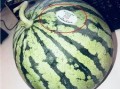 老挝网红吃瓜最新,揭秘当地美食文化新潮流