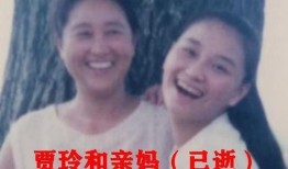 贾玲母亲爆料事件视频全集,揭秘娱乐圈背后的辛酸与真相