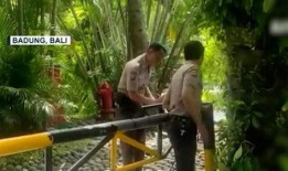 巴厘岛遇害情侣爆料视频,视频揭露惊人细节，真相令人震惊