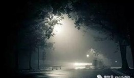 深夜书店3手机在线观看,手机在线观看，揭秘神秘书卷背后的奇幻之旅