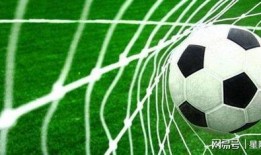 瑞士足球爆料视频最新消息,揭秘神秘转会内幕