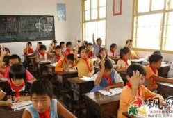 宁波小学爆料最新消息