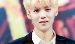 圈内人爆料鹿晗完整,圈内人爆料背后的真实故事