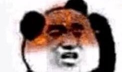 吃瓜鹅娱乐速报鸡你太美,吃瓜鹅娱乐速报下的网络热词解析