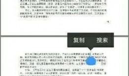 网红视频吃瓜最新网站,最新网站带你畅享热门视频盛宴