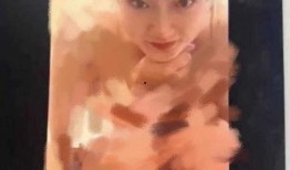 李梦爆料视频在线观看,揭秘娱乐圈幕后真相