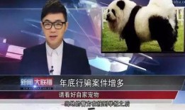 大鹏最新爆料新闻