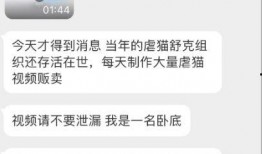 杰克辣条被人爆料视频大全,揭秘网络红人幕后真相