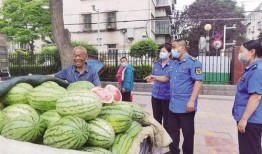 甘肃免费吃瓜详情,全民共享甜蜜时光