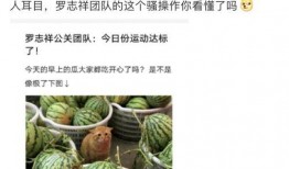 免费吃网红瓜的网站是,轻松成为吃瓜群众！