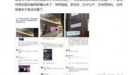 爆料芒果连麦视频,揭秘幕后精彩瞬间