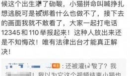 杰克辣条被人爆料视频大全,揭秘网络红人幕后真相