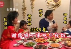 过年网友爆料视频大全最新,网友爆料视频大全，精彩瞬间尽收眼底