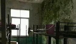 最新的瓜爆料学校宿舍,宿舍楼里的那些新鲜事儿