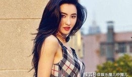 张柏芝娱乐大爆料,真实与虚假的碰撞