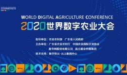 科技新闻爆料入口在哪