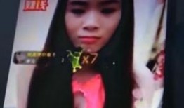 东北二嫂车震在线观看,揭秘网络热传视频背后的真相