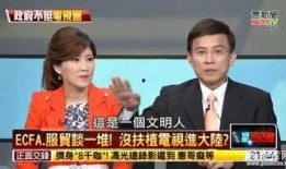 爆料台湾名嘴名单大全视频,名单大全视频深度解析