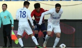 申花最新爆料排行,热点事件盘点，揭秘球队动态