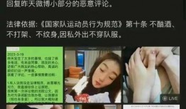 马天尼前妻爆料视频,揭秘婚姻背后的惊人真相