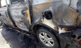 爆料海豚自燃视频大全,海豚自燃视频大全引发热议