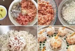 肉丸爆料视频大全集,揭秘幕后真相，带你领略网络风云