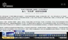 交大附中爆料事件视频播放,揭秘校园内幕