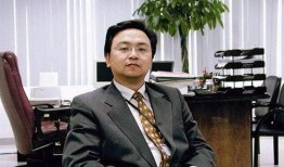 小雷爆料王传福视频,王传福视频曝光，新能源汽车巨头背后的故事