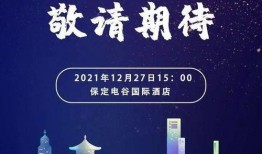 荣耀发布会爆料新闻,全新科技旗舰亮相，颠覆行业期待