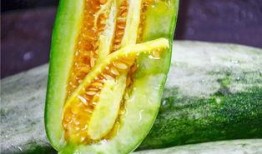 免费吃网红瓜的网站是,轻松成为吃瓜群众！