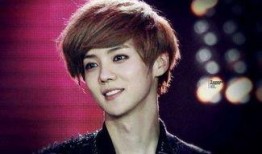 圈内人爆料鹿晗完整,圈内人爆料背后的真实故事