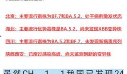 今日新冠病毒爆料消息