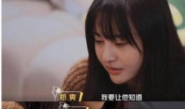 娱乐大事件爆料郑爽,娱乐大事件独家爆料揭秘真相