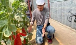 济南吃瓜网红地,一网打尽地道美食与市井风情