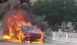 爆料海豚自燃视频大全,海豚自燃视频大全引发热议