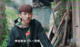 变形计陈新颖在线观看,蜕变之旅，在线见证成长瞬间